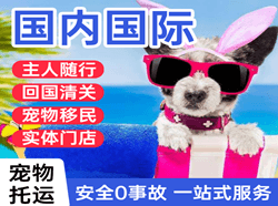 海拉尔航空快运国际宠物托运 【国